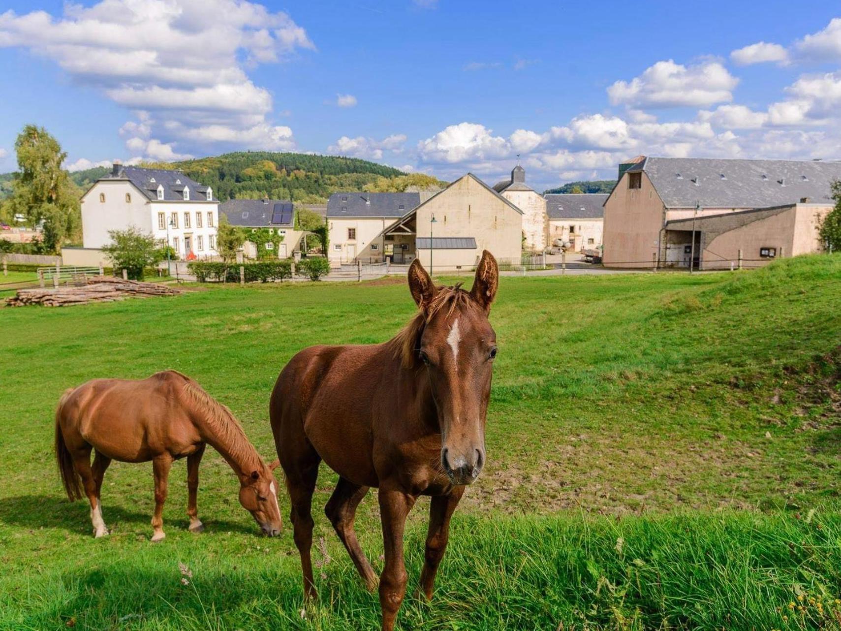 Cottage House Weyer - Mare&Filly Room 外观 照片